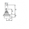 Gloeilampen H9